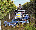 machines for cultivation between rows